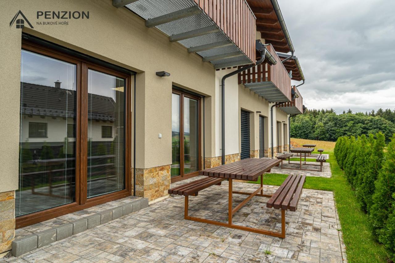 Apartamento PENZION NA BUKOVÉ HOŘE - apartmánový dům Červená Voda Exterior foto